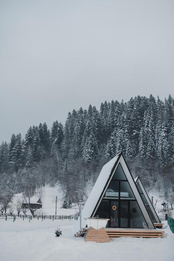 Mountains Hut Villa Mykulytjyn Exteriör bild